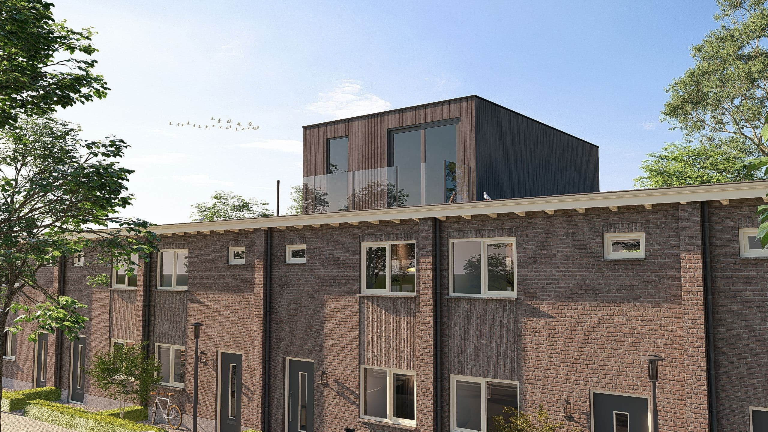 Dakopbouw Lusso